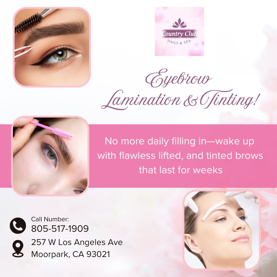 Eyebrow Lamination & Tinting
